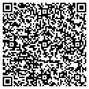 QR code with Publimax Printing contacts