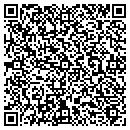 QR code with Bluewave Productions contacts
