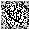 QR code with David M Stein contacts