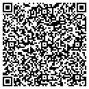 QR code with Professional Background contacts