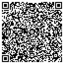 QR code with Punctual Printing LLC contacts