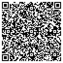 QR code with Custer County Library contacts