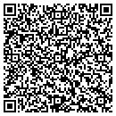 QR code with Providence Place contacts