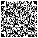 QR code with Psych Serves contacts
