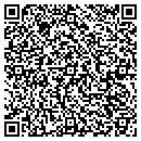QR code with Pyramid Alternatives contacts
