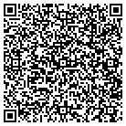 QR code with Blue Star Cosntruction contacts