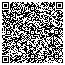 QR code with Psionic Productions contacts