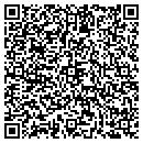 QR code with Prographics Inc contacts