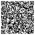QR code with T-Line contacts