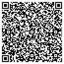 QR code with Central Ill Light CO contacts
