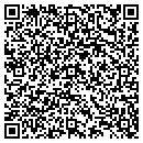 QR code with Protection & Permanency contacts