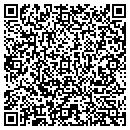 QR code with Pub Productions contacts