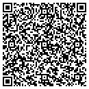 QR code with Provider Power Vt LLC contacts