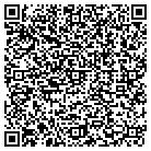 QR code with Pulse Dj Productions contacts