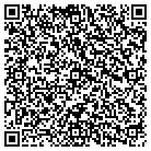 QR code with Pulsar Productions Inc contacts