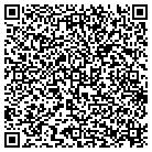 QR code with Public Service CO of NH contacts