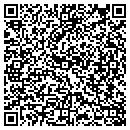 QR code with Central New York Ddso contacts