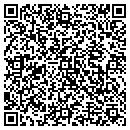 QR code with Carrera Mapping Inc contacts