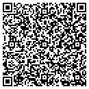 QR code with Pseg Fossil LLC contacts