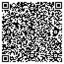 QR code with Premier Accounting Inc contacts