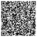 QR code with Celadon contacts