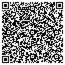 QR code with Public Works Shop contacts