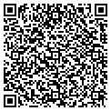QR code with Haley contacts