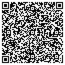 QR code with Carrier Sandra F Arnp contacts