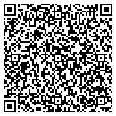 QR code with Sts Sales CO contacts
