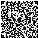 QR code with Ppl Ironwood contacts