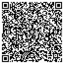QR code with Cedar Brakes I L L C contacts