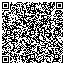 QR code with Crystal Electric Corp contacts