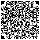 QR code with Public Service Company Of New Mexico contacts