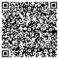 QR code with Mdlcv contacts