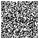 QR code with Carter Kevin D CPA contacts