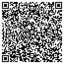 QR code with Privacy pimp contacts