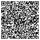 QR code with Cervel Neurotech Inc contacts