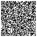 QR code with Professional Solution contacts