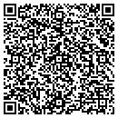 QR code with Preferable Staffing contacts
