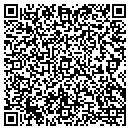 QR code with Pursuit Services L L C contacts