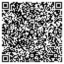 QR code with Professional Sv contacts