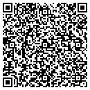 QR code with Pristine Irrigation contacts