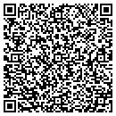 QR code with Pt Staffing contacts