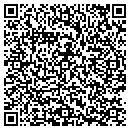 QR code with Project Fine contacts
