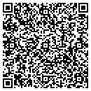 QR code with Pubsnet Inc contacts