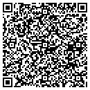 QR code with Project Workshop Inc contacts