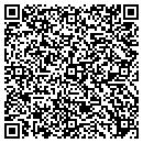QR code with Professional Staffing contacts