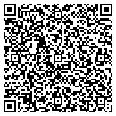 QR code with Practical Accounting contacts