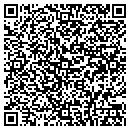 QR code with Carrier Bookkeeping contacts