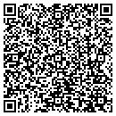 QR code with Protek Consultancy LLC contacts